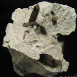 Cuarzo
7 x 5 x 3 cm.
(Autor: Frederic Varela)