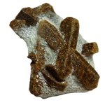 Estaurolita
4 x 3 cm.
(Autor: javier ruiz martin)