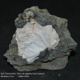 Thomsonita
5 cm
(Autor: Jose Bello)