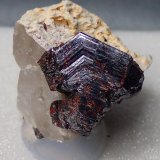 Rutilo
2,3 x 1,5 x 1 cm
(Autor: Frederic Varela)