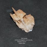 Calcita
2.8 cm
(Autor: Jose Bello)