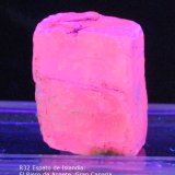Calcita (variedad espato de Islandia)
31 mm
(Autor: Jose Bello)