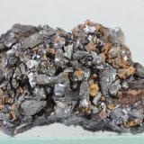 Ramsdellita
36x22 mm
(Autor: Juan Espino)