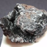 Ramsdellita
35x20 mm
(Autor: Ignacio)
