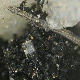 Britholita-Ce, Clorita (Grupo) y Albita.
Campo de visión de 3 mm.
(Autor: Antonio Carmona)