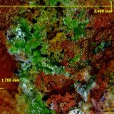 Reichenbachita.
2´48 x 1´79 mm.
(Autor: Jesus Franquesa Baucells)