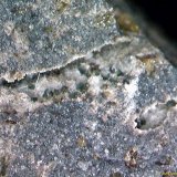 Roedderita.
3´439 x 1´694 mm.
(Autor: Jesus Franquesa Baucells)