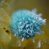Auricalcita
Campo de visión de 2 mm.
(Autor: Antonio Carmona)