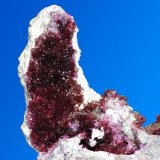 Roselita
70x100mm
(Autor: Ramon A  Lopez Garcia)