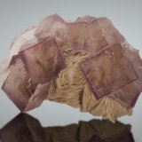 Fluorita, Barita
13x9 cm, cristales de hasta 4cm
(Autor: Raul Vancouver)