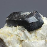 Rutilo (variedad rutilo niobífero)
cristal 30 mm.
(Autor: Ramon A  Lopez Garcia)