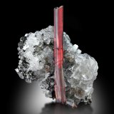 Rutilo en Riebeckita, Cuarzo y Aegirina
8 x 4 x 10 cm / Cristal principal: 9.2 cm
(Autor: Museo MIM)