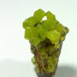 Piromorfita
18x18x10mm
(Autor: Carlos G. Bargueño)