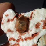 Cuarzo (variedad jacinto de Compostela) en Yeso
2,5 cm. el jacinto
(Autor: javier ruiz martin)