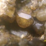 Vesubianita
Cristal de unos 3 mm
(Autor: marcel)