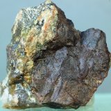 Sarcópsido
46x20 mm
(Autor: Juan Espino)
