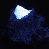 Scheelita
9 x 8 x 6 cm
(Autor: Antonio Alcaide)