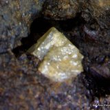 Scheelita.
1´122 x 1´081 mm.
(Autor: Jesus Franquesa Baucells)