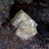 Scheelita.
1´122 x 1´081 mm.
(Autor: Jesus Franquesa Baucells)
