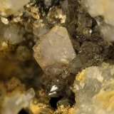 Scheelita
Cristal de 1 cm.
(Autor: Antonio Carmona)