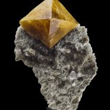 Scheelita con Moscovita
10 x 8.5 x 15 cm / Cristal principal: 7.3 cm.
(Autor: Museo MIM)
