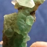 Fluorita, Calcita
4cm x 2,5cm
(Autor: Alex y Diana)