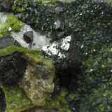 Magnetita y epidota
Cristal de magnetita de 9 mm.
(Autor: Laureano)