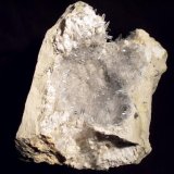Celestina.
12x10 cm.
(Autor: Laureano)