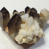 Cuarzo (variedad ahumado), Microclina
cristales de 15 x10 mm
(Autor: Emilio Téllez)