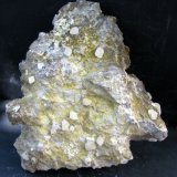 Sepiolita
114 x 107 x 28 mm.
(Autor: José Luis Zamora)