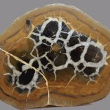 Calcita (variedad septaria)
80 x 62 x 14 mm.
(Autor: José Luis Zamora)