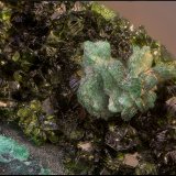 Pseudomalaquita sobre Libethenita.
Campo de visión de 4 mm.
(Autor: Antonio Carmona)