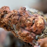 Cobre y Plata
Campo de visión de 10 mm
(Autor: Antonio Carmona)