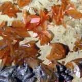 Siderita
FOV 0.7 cm
(Autor: Cesar M. Salvan)
