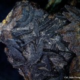 Siderita pseudomórfica de Goethita
5´69 x 5´37 mm.
(Autor: Jesus Franquesa Baucells)