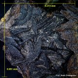 Siderita pseudomórfica de Goethita
5´69 x 5´37 mm.
(Autor: Jesus Franquesa Baucells)