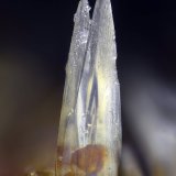 Siderita
Campo de visión 0,7 mm. (Horizontal)
(Autor: Juan Miguel)