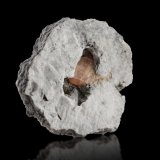 Sidorenkita en Albita
5 x 4.5 x 1.5 cm / Cristal principal: 1.2 cm.
(Autor: Museo MIM)