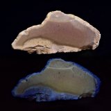 Sílex
5 x 2,5 x 1 cm
(Autor: Josele)