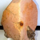 Microclina, Cuarzo (variedad ahumado)
7x6,5 cm.
(Autor: Adri Rodríguez)