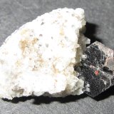 Pirocloro, Biotita y Sanidina
20 x 15 mm.
(Autor: prcantos)