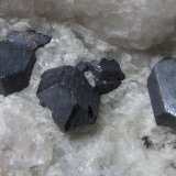 Rutilo
3 cm. ancho de campo
(Autor: prcantos)
