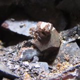 Pirita, siderita
2 cm. ancho de campo
(Autor: prcantos)