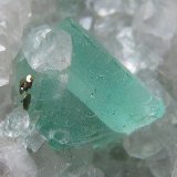 Pirita, fluorita y calcita
1 cm. ancho de campo
(Autor: prcantos)