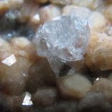 Analcima y gmelinita
8 mm. ancho de campo
(Autor: prcantos)