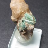 Tetraedrita, Malaquita
35 x 20 mm.
(Autor: prcantos)