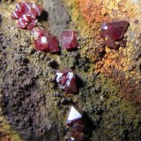 Cuprita
1 cm. ancho de campo
(Autor: prcantos)