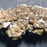 Descloizita
35 x 25 mm.
(Autor: prcantos)