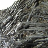 Cilindrita
2'5 cm. ancho de campo
(Autor: prcantos)