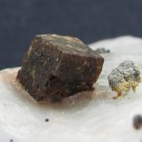 Perovskita
Cristal con aristas de 4 mm.
(Autor: prcantos)